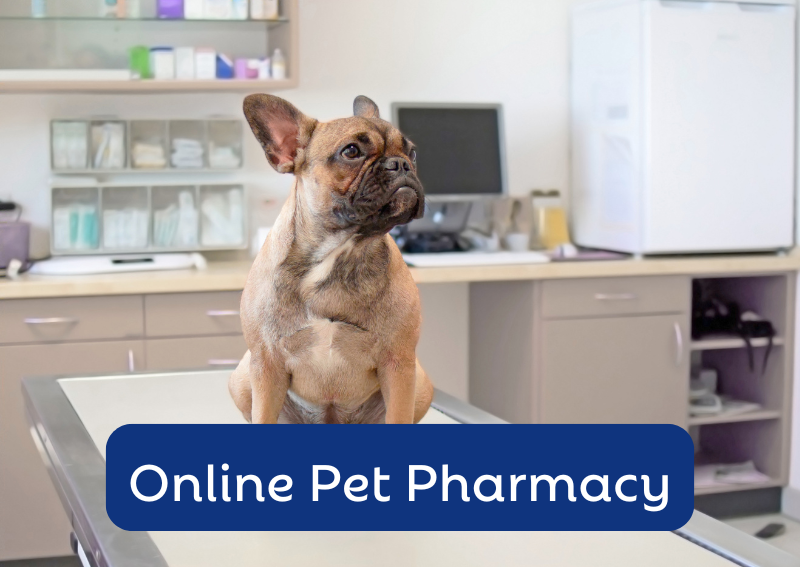 Carousel Slide 2: Shop our convenient online pet pharmacy!