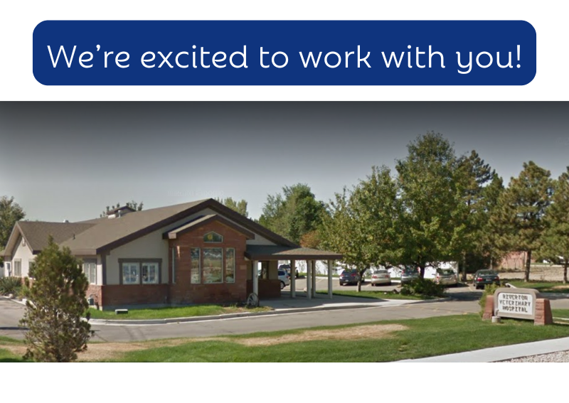 Carousel Slide 4: Learn more about our compassionate veterinary staff and Veterinarians